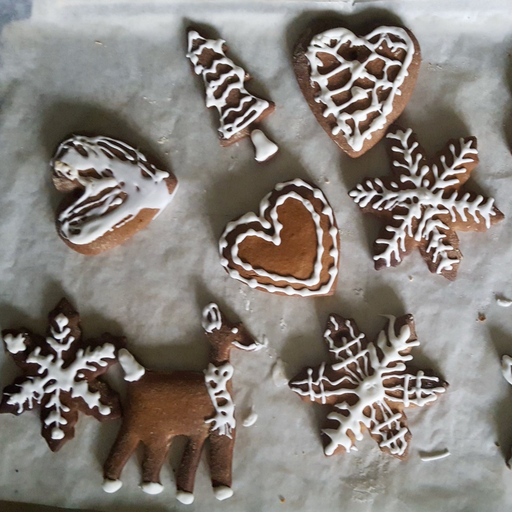 Gingerbread biscuits